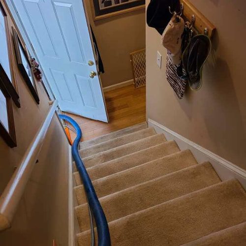 7-carpet-cleaning-mistakes-you-should-avoid 7 Carpet cleaning mistakes you should avoid
