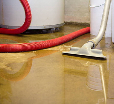 Assessing the Extent of Water Damage Assessing the Extent of Water Damage