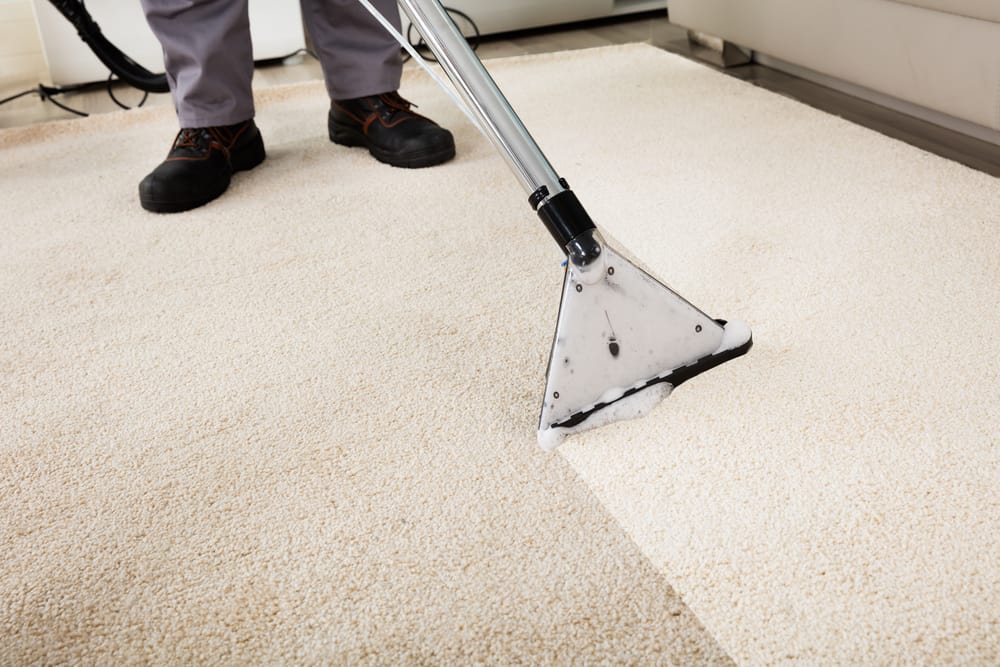 Professional Carpet Cleaning and Maintenance 1 Carpet cleaning technician removing dirt and stains from white carpet