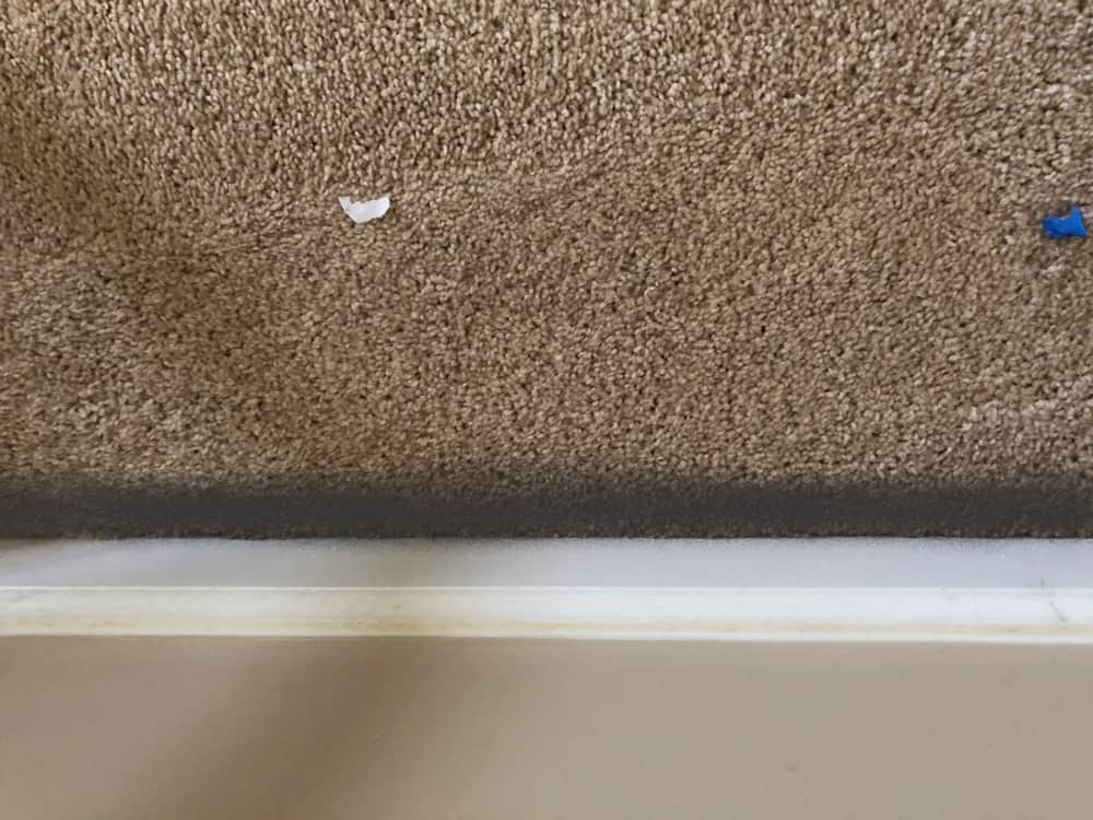 Carpet Filtration Lines and How to Get Rid of Them 1 Brushes, rubber gloves, and cleaning supplies to clean a home for the holidays