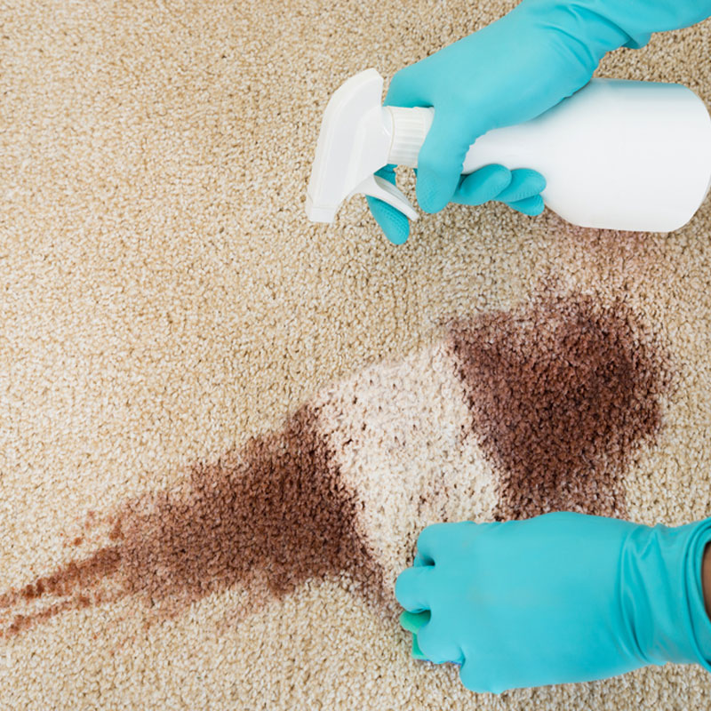 carpet-stains-treated-correctly-columbia-midlands-sc Stain remover on beige carpet.