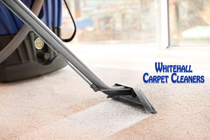 carpet-cleaning Carpet Cleaning Icon