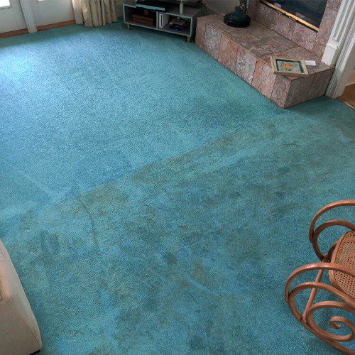 common-carpet-fiber-materials-are-wool-and-nylon it is always important to call the professionals to clean up stains (big or small), you can actually maintain your area rug at home with some simple steps.