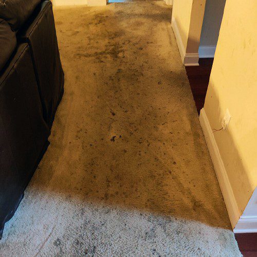 different-types-of-carpet-can-affect-the-level-of-cleaning At Whitehall Carpet Cleaners, we have the expertise and experience to get your large area rug looking like new right away.