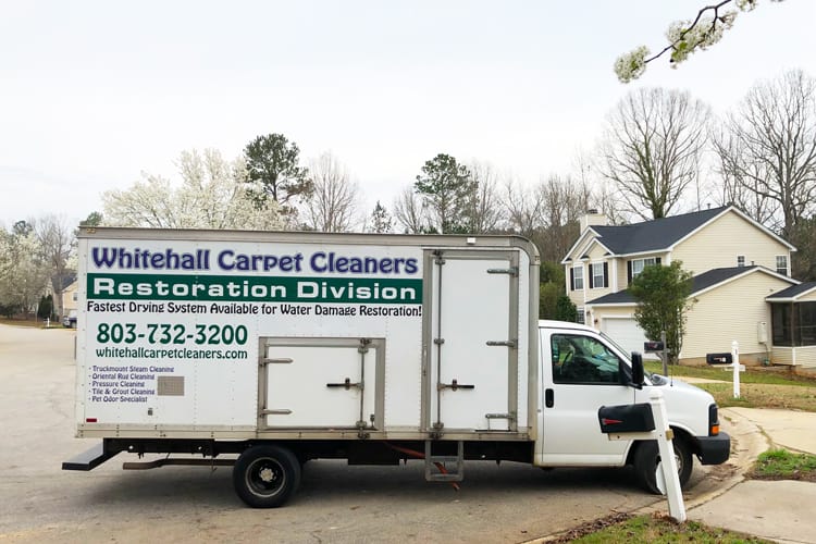 How to Prevent Mold After Water Damage | WCC 4 Brushes, rubber gloves, and cleaning supplies to clean a home for the holidays