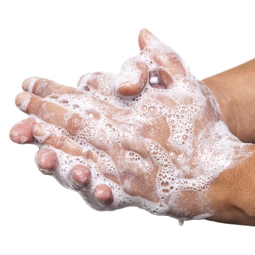 Disinfecting Your Home After an Illness | Columbia SC | WCC 3 Brushes, rubber gloves, and cleaning supplies to clean a home for the holidays