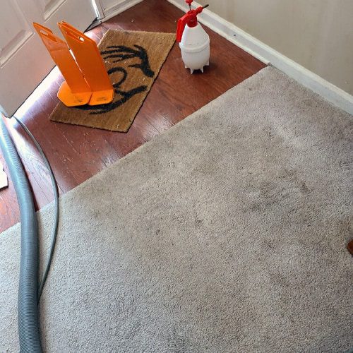 how-to-hide-carpet-stains-by-whitehall-carpet-cleaners At Whitehall Carpet Cleaners, we have the expertise and experience to get your large area rug looking like new right away.