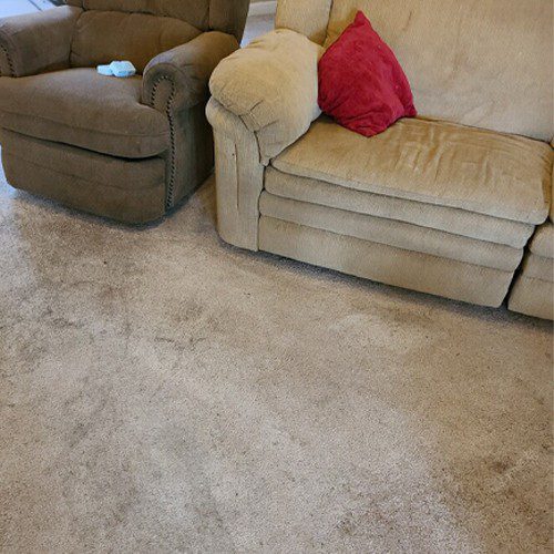 keep-your-carpet-clean-with-regular-service it is always important to call the professionals to clean up stains (big or small), you can actually maintain your area rug at home with some simple steps.