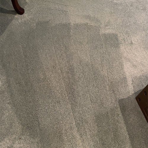 keeping-your-carpets-clean-can-help-with-your-seasonal-allergies 7 Carpet cleaning mistakes you should avoid