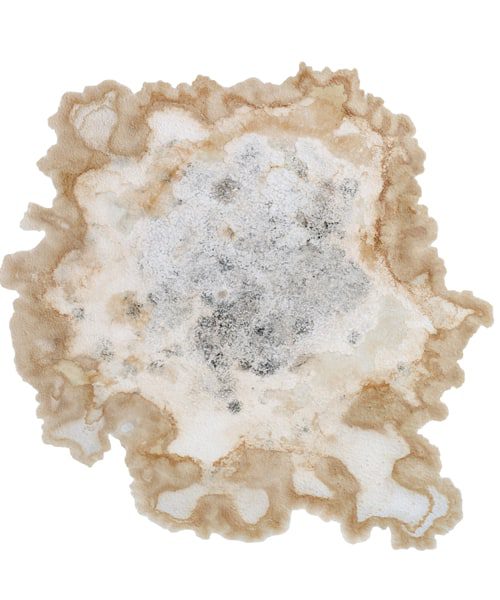Visible signs of mold are the most obvious way to spot a problem. You may notice black spots on affected surfaces. Visible signs of mold are the most obvious way to spot a problem. You may notice black spots on affected surfaces.