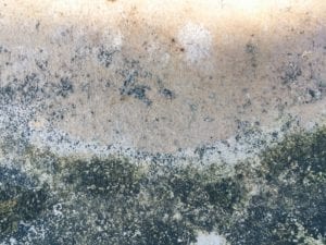 Properly Preparing for a Flood - Learn Great Flood Safety Tips 2 mold remediation