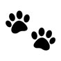 Prevent Allergies with Carpet Cleaning 2 telehealth-icon_05-light-with-background
