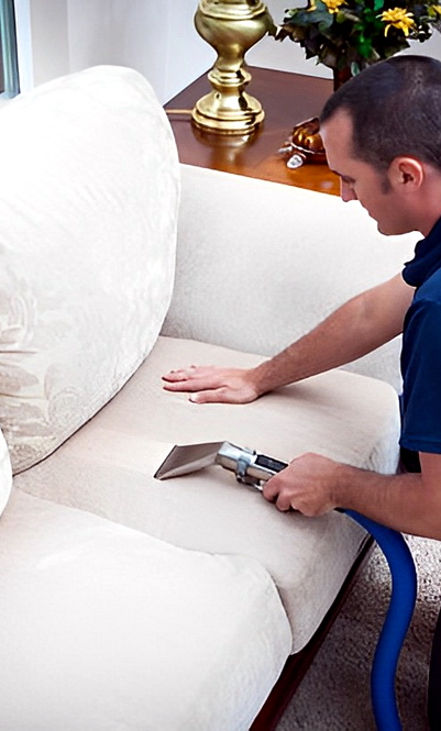 Professional Upholstery Cleaning Services Professional Upholstery Cleaning Services