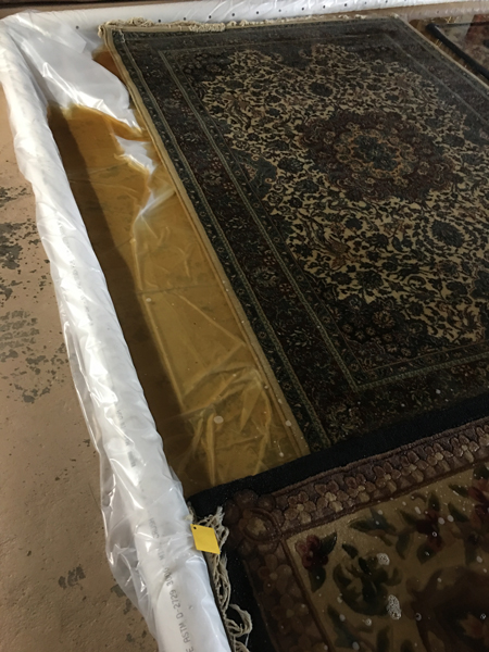 rug-cleaning-columbia-south-carolina Brushes, rubber gloves, and cleaning supplies to clean a home for the holidays