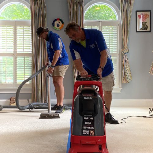 Rug-doctor-blog-1-v1-f-2020 At Whitehall Carpet Cleaners, we have the expertise and experience to get your large area rug looking like new right away.