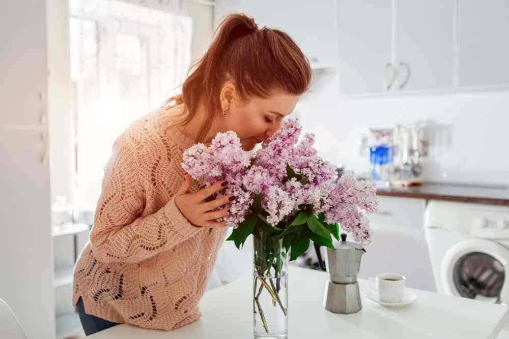 Allergy Cleaning 101: Cleaning Your Home of Allergens 1 spring cleaning