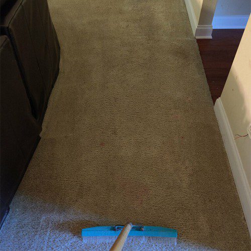 ultimate-carpet-guide-2021 it is always important to call the professionals to clean up stains (big or small), you can actually maintain your area rug at home with some simple steps.