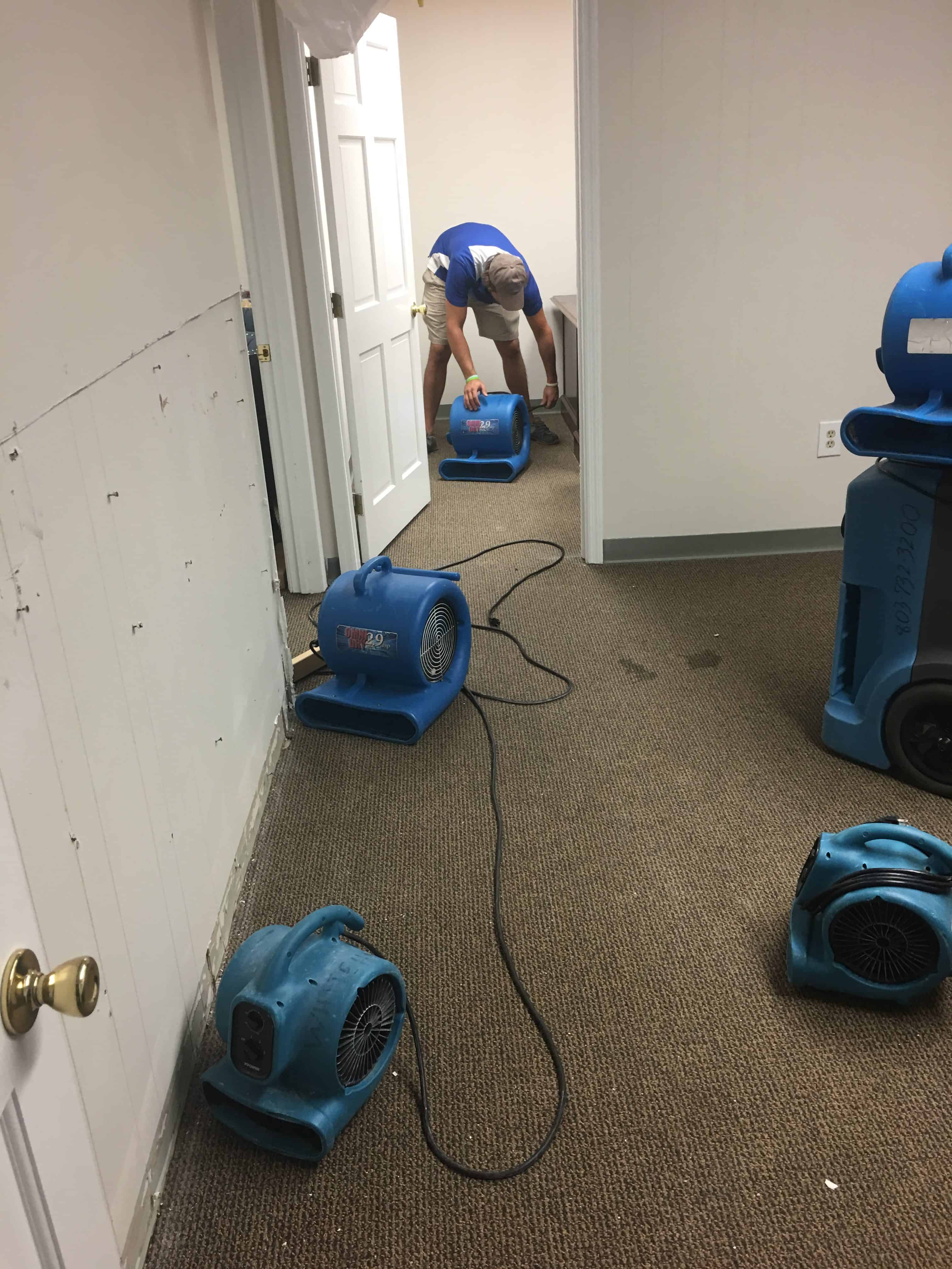 How to Prevent Mold After Water Damage | WCC 3 Brushes, rubber gloves, and cleaning supplies to clean a home for the holidays