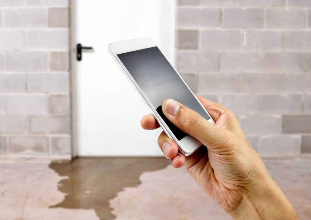 The Three Types of Water Damage You Need to Know About | WCC 1 Brushes, rubber gloves, and cleaning supplies to clean a home for the holidays