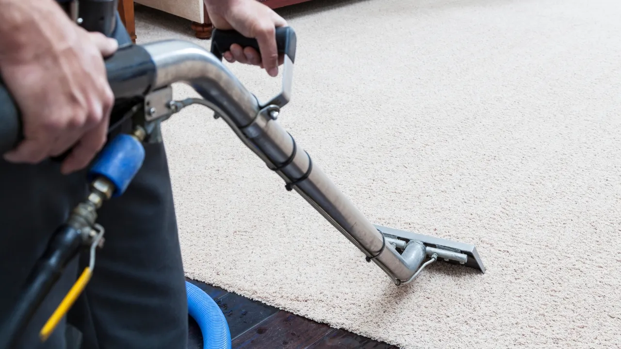 Basic Carpet Cleaning Techniques: Cleaning Your Carpet Stains