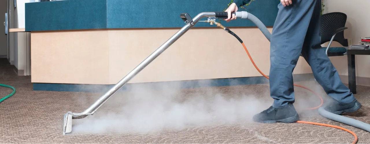 Carpet Steam Cleaning: A Deep Dive Carpet Steam Cleaning: A Deep Dive